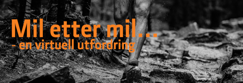 Mil etter mil med SUSBIL